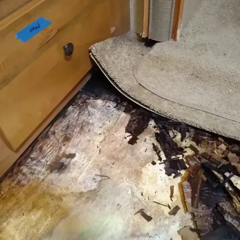 Wood Floor Water Damage in Blythewood, SC